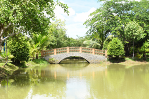 CHO THUÊ XE ĐI BẾN LỨC GIÁ RẺ TẠI SÀI GÒN