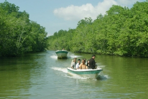 CHO THUÊ XE ĐI CẦN GIỜ GIÁ RẺ TẠI TPHCM