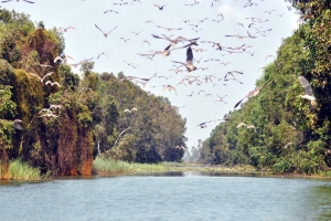 CHO THUÊ XE ĐI MỘC HÓA KIẾN TƯỜNG GIÁ RẺ TẠI SÀI GÒN