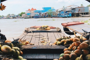 CHO THUÊ XE ĐI TIỀN GIANG GIÁ RẺ TẠI TPHCM